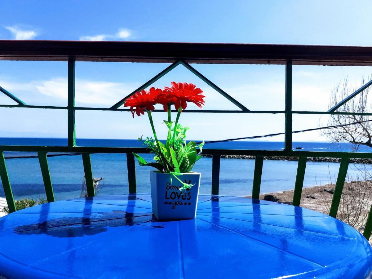 Medusa Apartments كاتيليوس المظهر الخارجي الصورة
